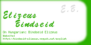 elizeus bindseid business card
